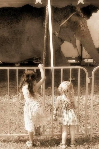 day at the circus