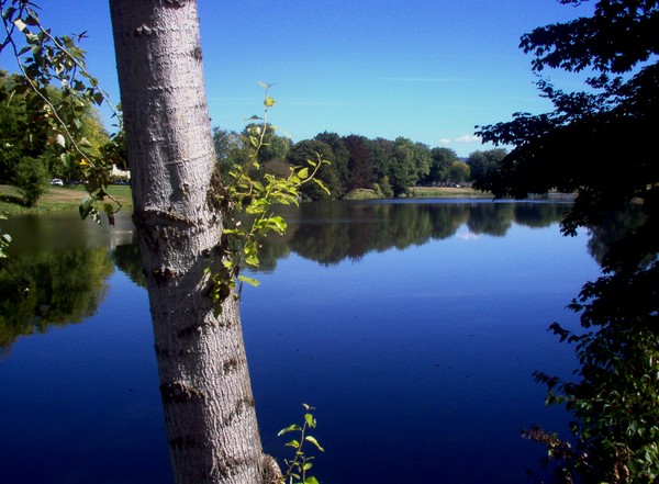 Blue Reflections