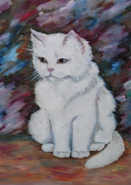 STOLEN! white cat