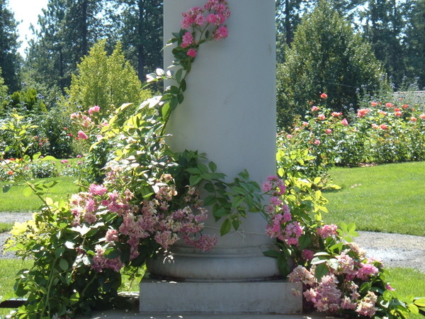Embraced Column