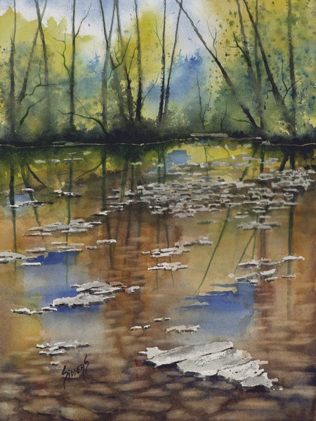 Shallow Water