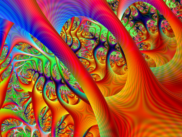 Neurons