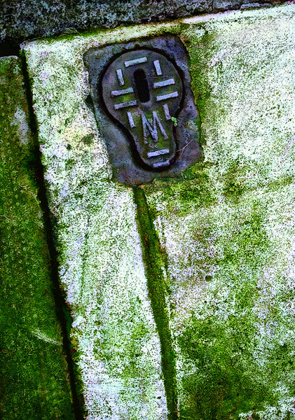 Blue On Green