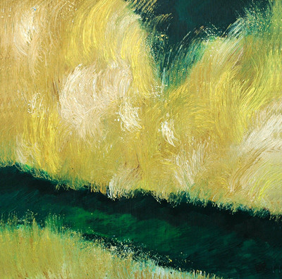 By the Paddyfield