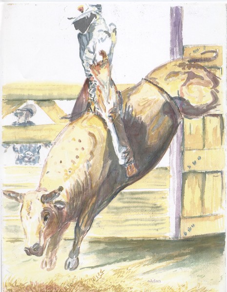 Bull Rider