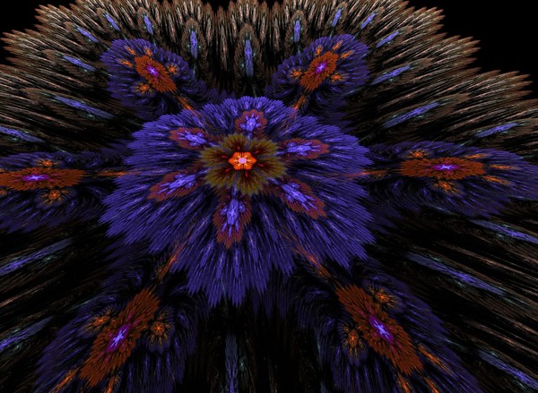 Apophysis Flower