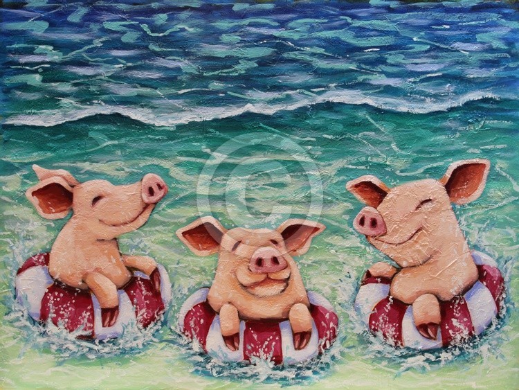 Three Swimming Pigs