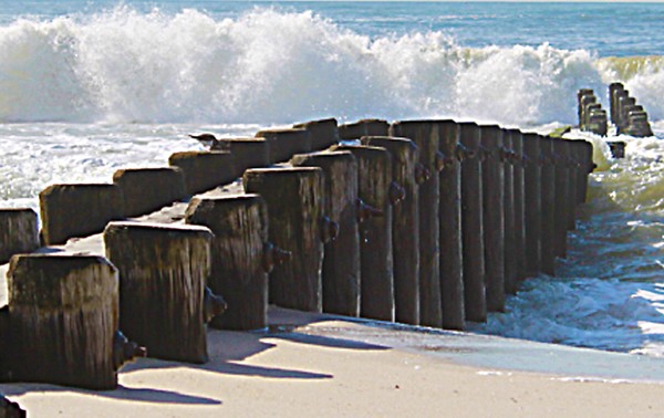 Goodbye Jetty