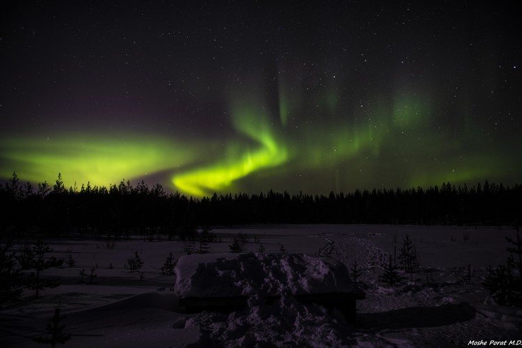 Aurora Borealis