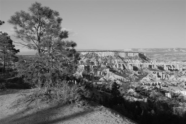 Bryce canyon-Utah