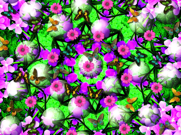 Purple wildflowers butterflies kalidiscope