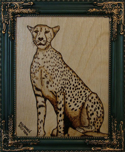 Cheetah 3