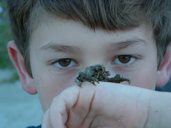 Feelin' a Little Crabby