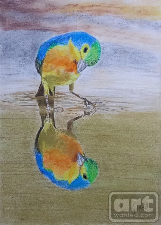 Reflection 