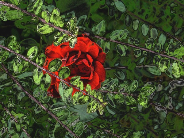 Love for a hidden beauty