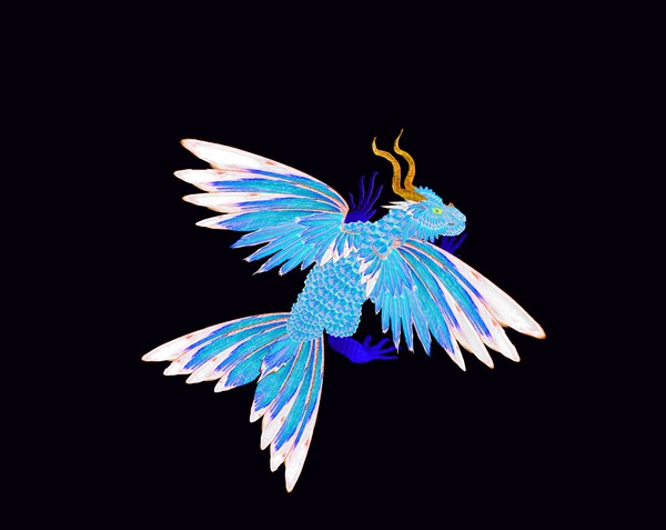 Baby blue dracopheonix