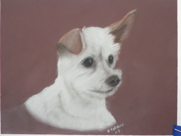 Penny when Clipped