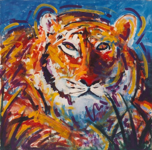 Bengal Tiger