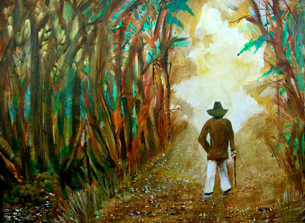 A Fall Walk in the Woods