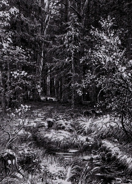 series of drawings