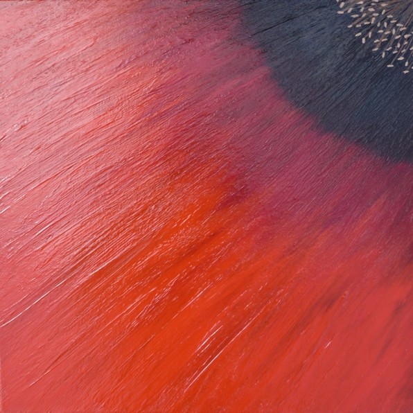 Poppy Heart