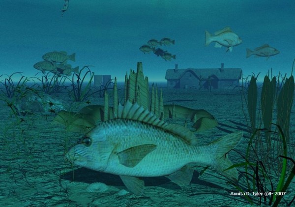 Under Water Home