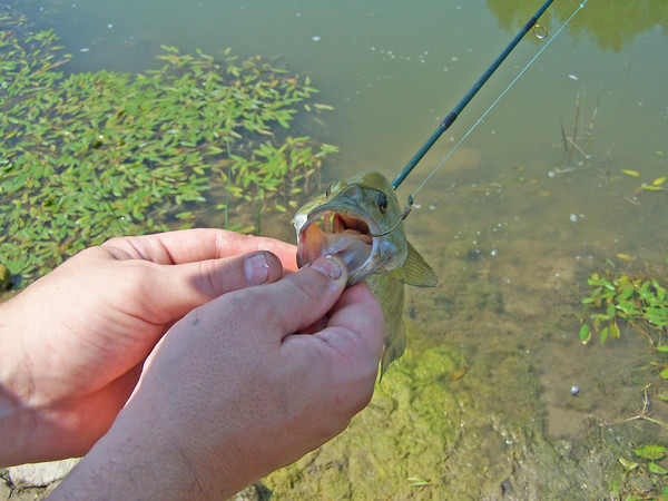 Gone Fishin'