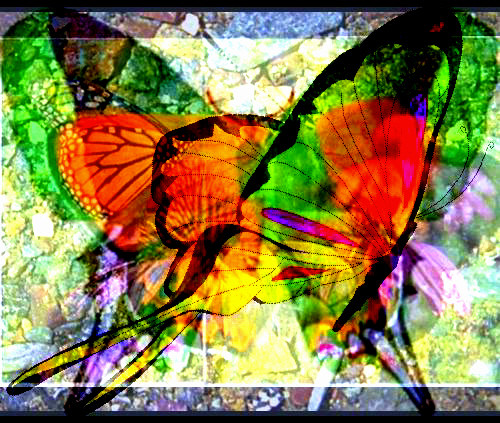 Collage Butterfly Mirage I