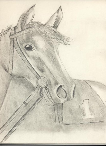 Race Horse