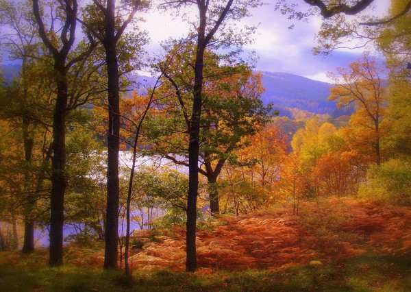 A Scottish Autumn