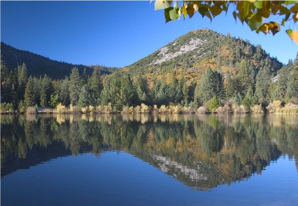 Fall Reflections