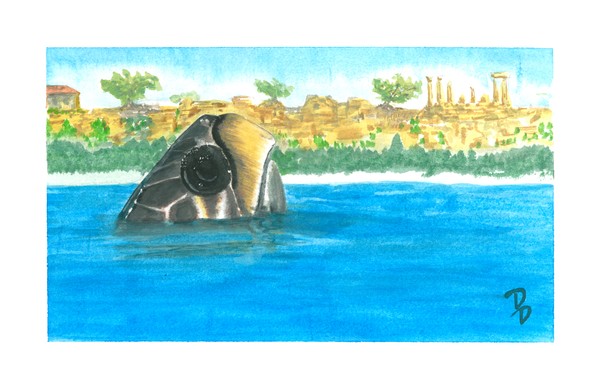 Sea Turtle 2 - See you soon!