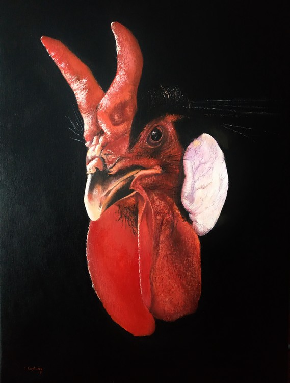Gallina Fléche
