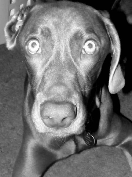 Are You Looking at Me?