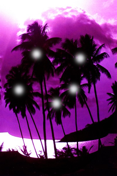 COCONUT PALM SPIRITS