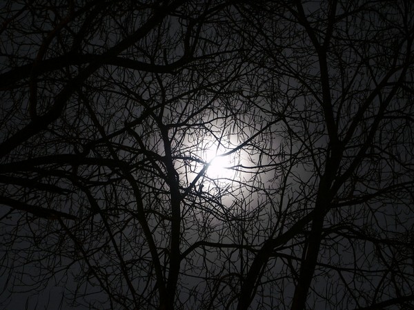 Veil of Confusion