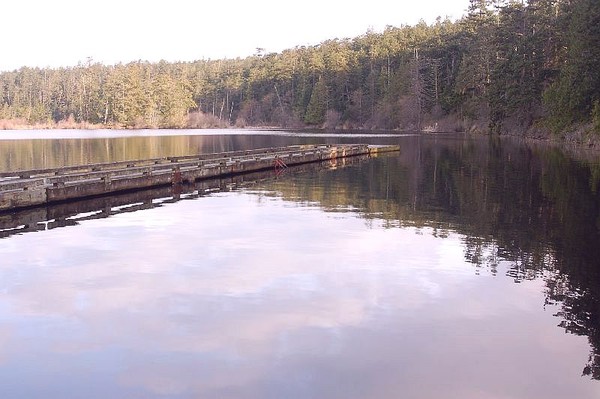 reflections
