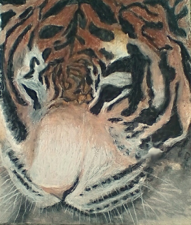 tiger pastel