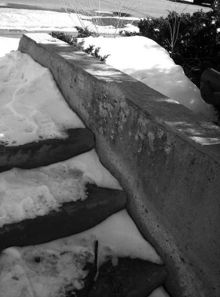 Snow Steps