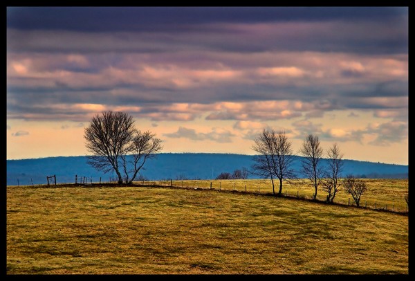 hilltop