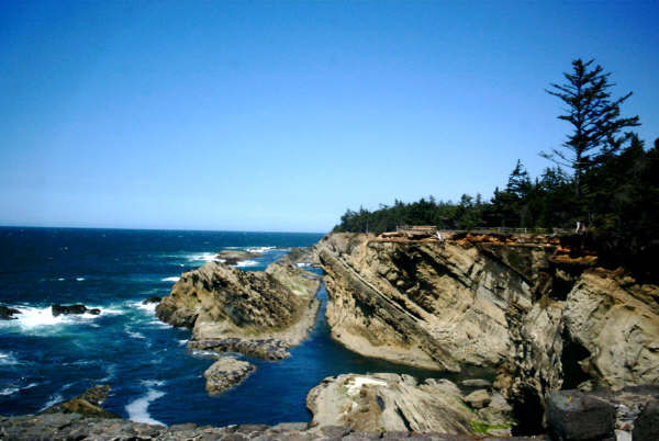 shore acres caostline, OR