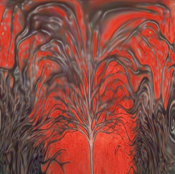 Crux Accord Tree