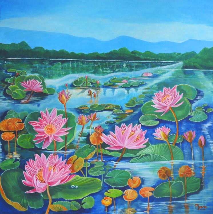 Lily pond 36