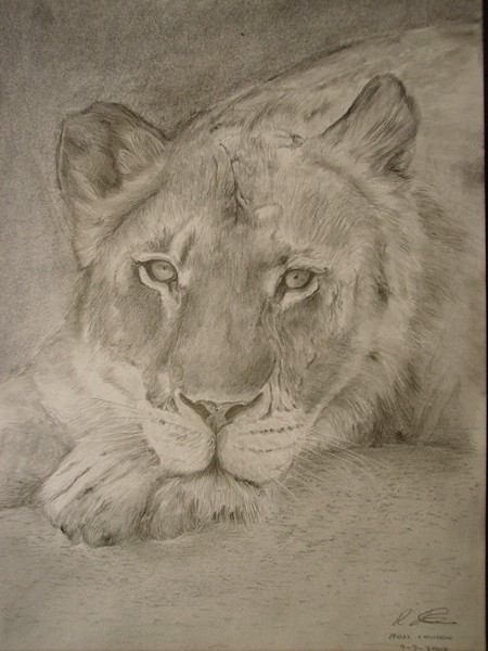 Completed Lion