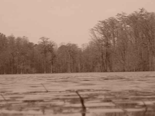 Antique Mill Pond