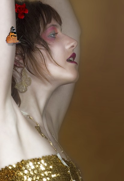 painted lady