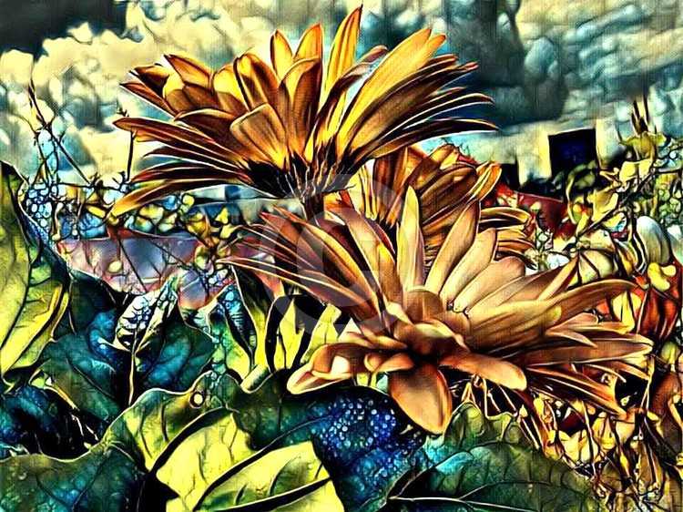 Balcony Flowers