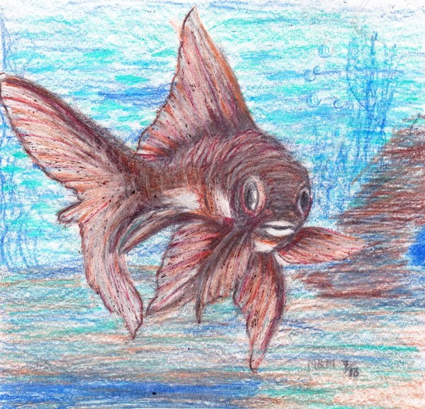 little fish