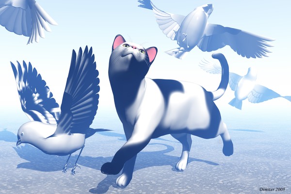 Cat and Birds