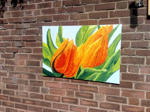 Tulips